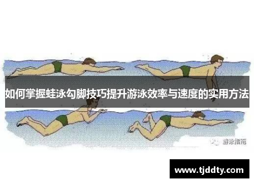 如何掌握蛙泳勾脚技巧提升游泳效率与速度的实用方法