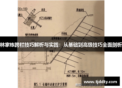 林家栋跨栏技巧解析与实践：从基础到高级技巧全面剖析