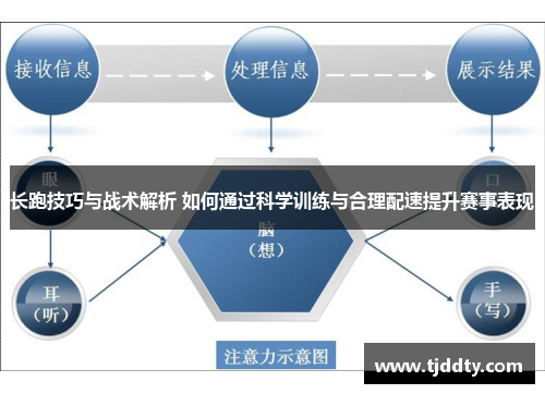 长跑技巧与战术解析 如何通过科学训练与合理配速提升赛事表现