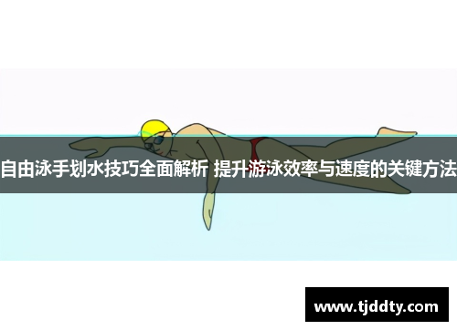 自由泳手划水技巧全面解析 提升游泳效率与速度的关键方法